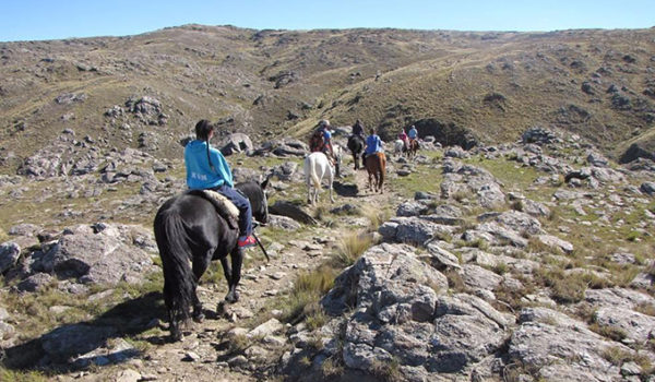 TOURS A CABALLO MERLO